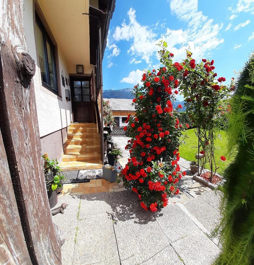 Luki Apartment Haus im Ennstal